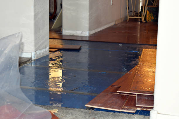 Professional Basement Flood Cleanup technician working in York, PA
